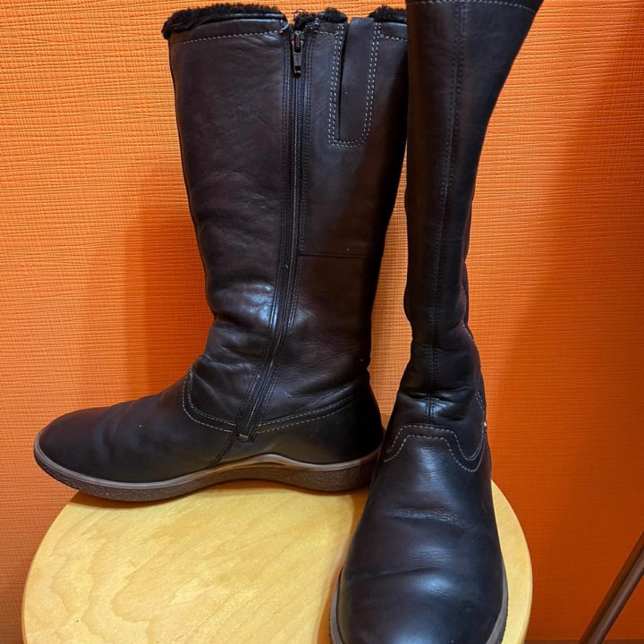 Сапоги зимние Ecco