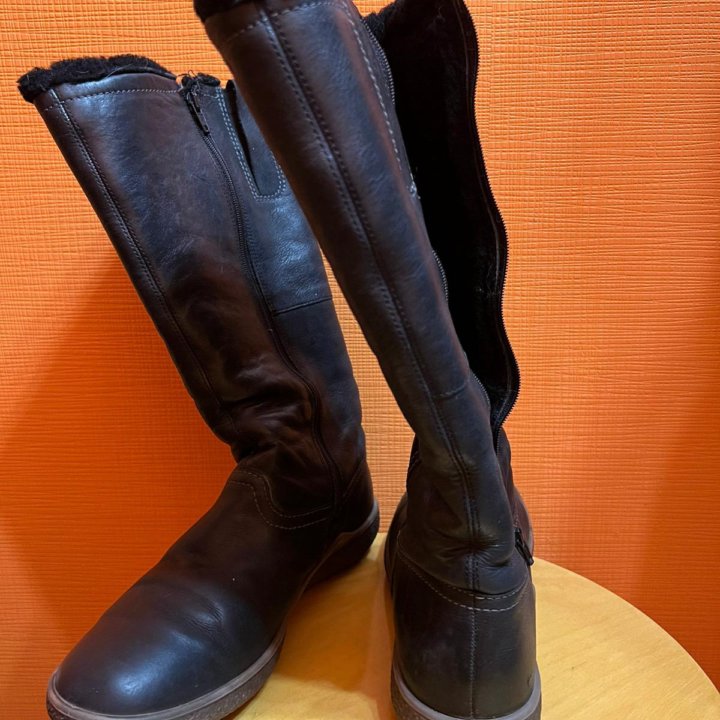 Сапоги зимние Ecco