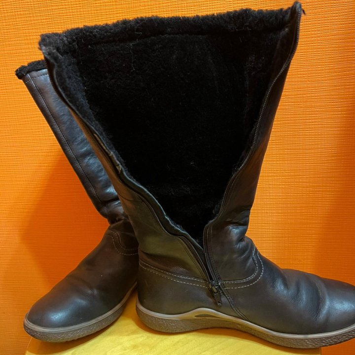 Сапоги зимние Ecco