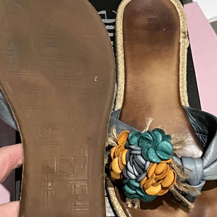 Сланцы кожа