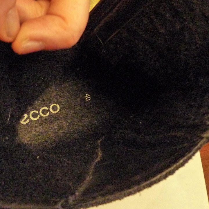 Сапоги, полусапоги ECCO демисезонные