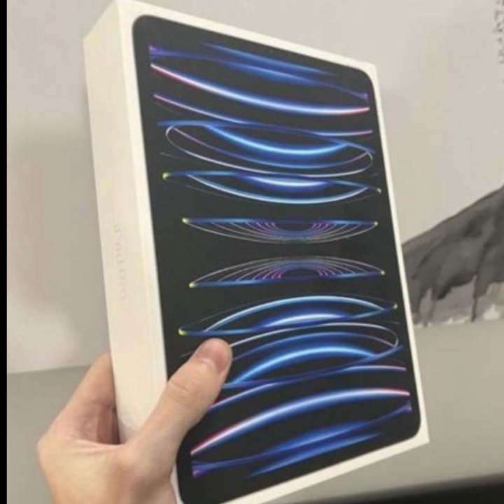 IPad Pro 12.9 2022 M2 256gb Wi-Fi+Cellurar Silver