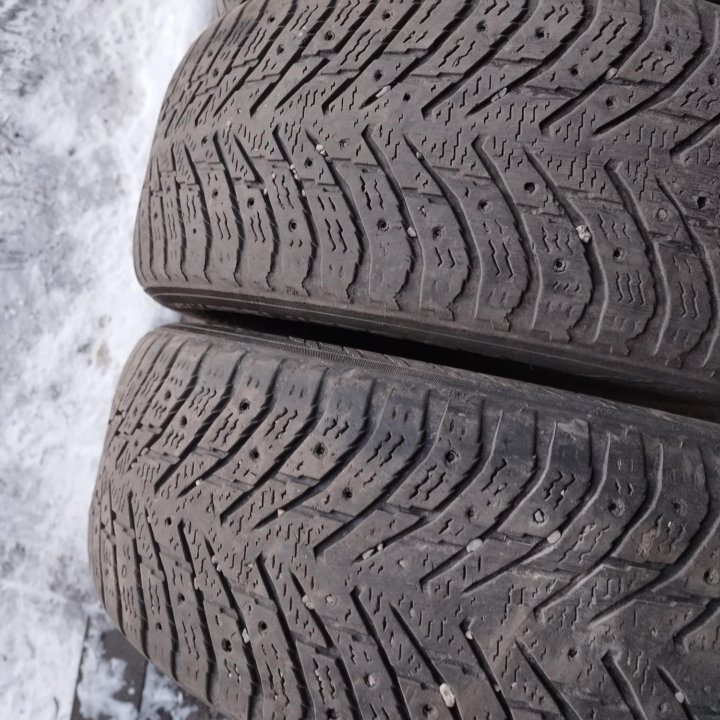 Nokian HKPL-8 (зима) 195/55 R15