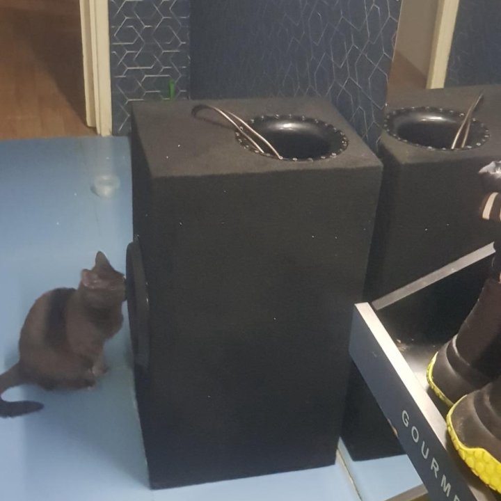 Cyclone 12 2000-4000rms