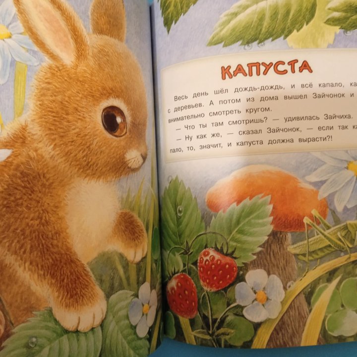 Детская книга с красивыми иллюстрациями