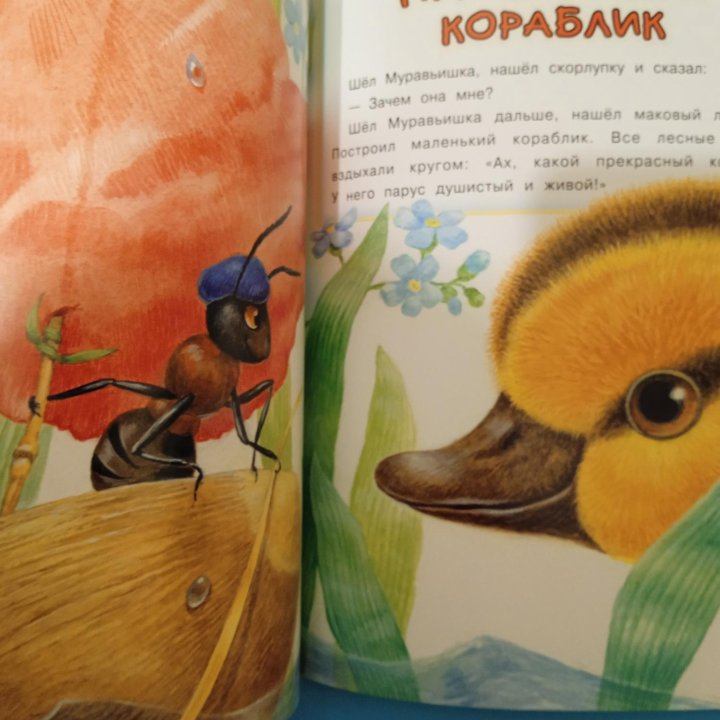 Детская книга с красивыми иллюстрациями