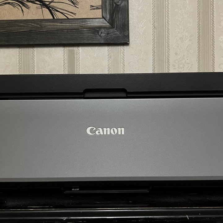 Принтер Canon pixma Pro-100s