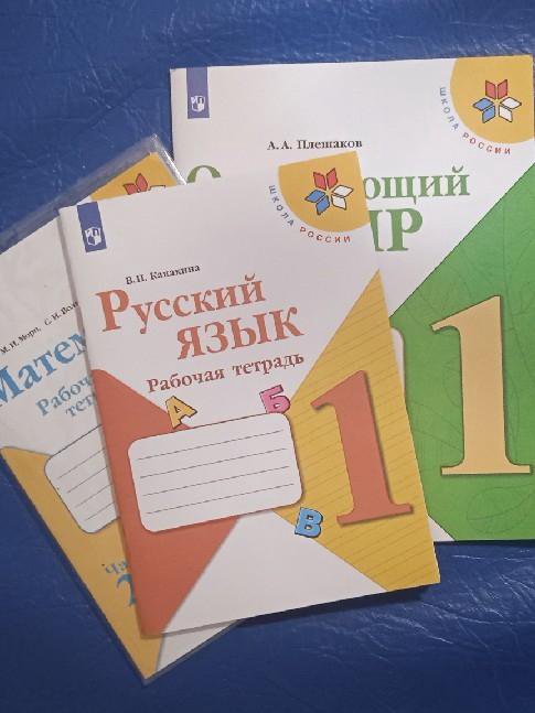 Рабочая тетрадь по русскому языку 1 класс Плешаков в Москве, цена 150 ...