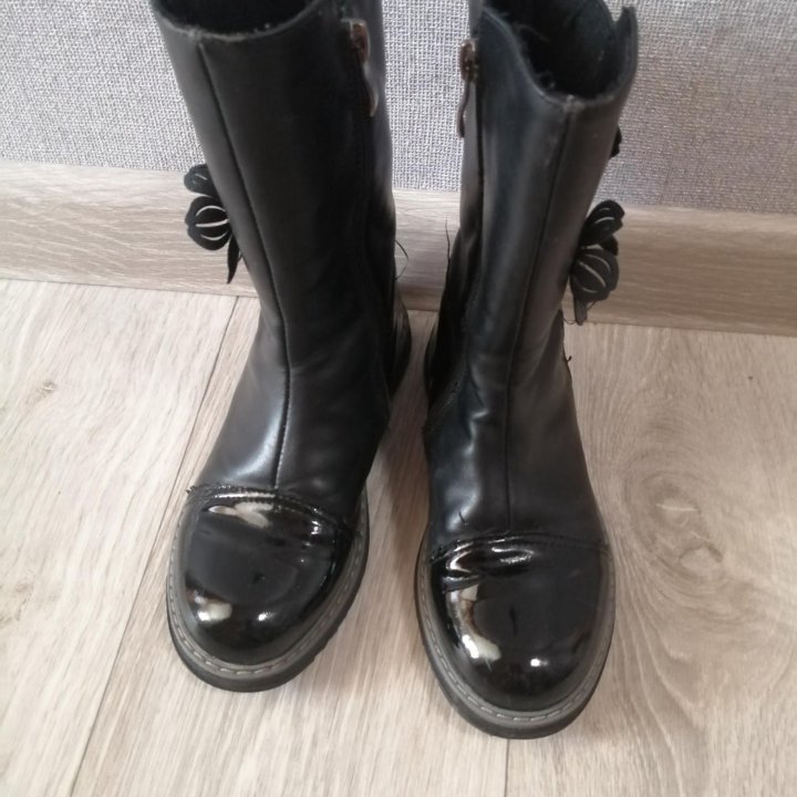 Сапоги демисезонные