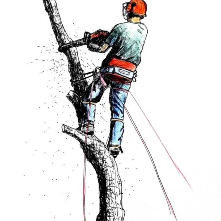 Обрезка деревьев