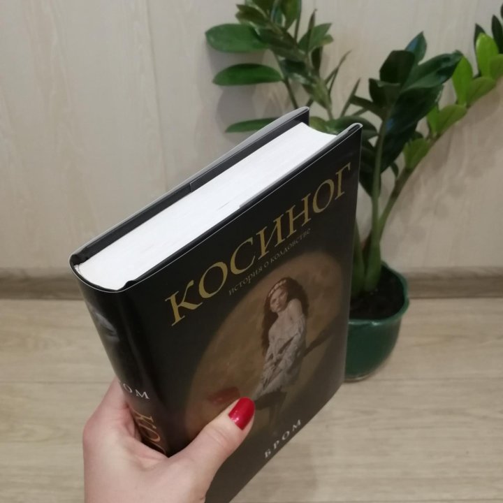 Косиног Бром