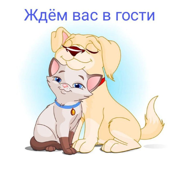 Домашняя передержка