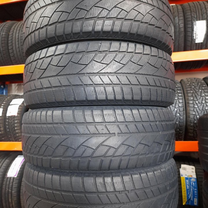 215/65 R16 Evergreen Winter EW66