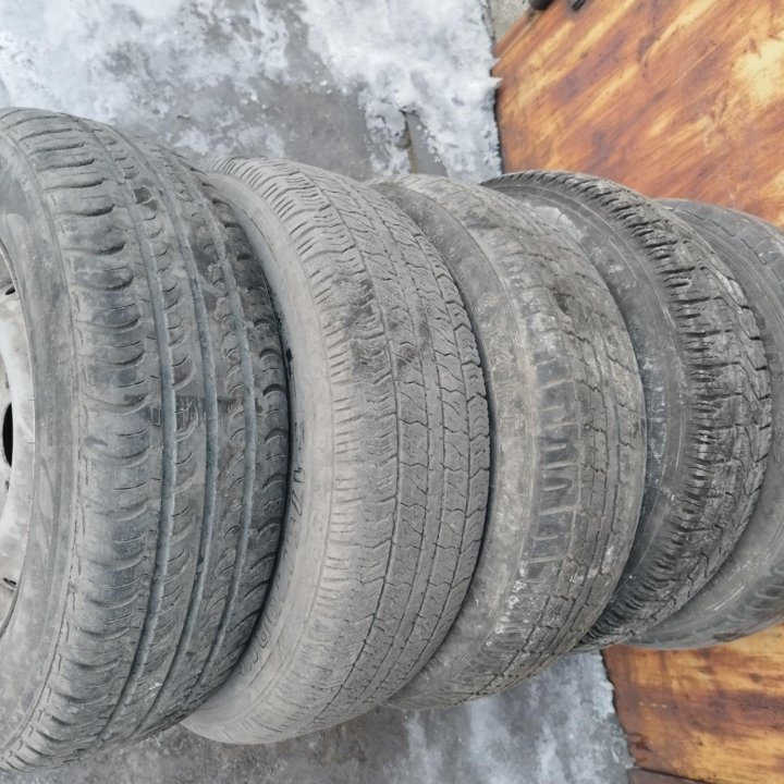 Шины (лето) 175/70 R13