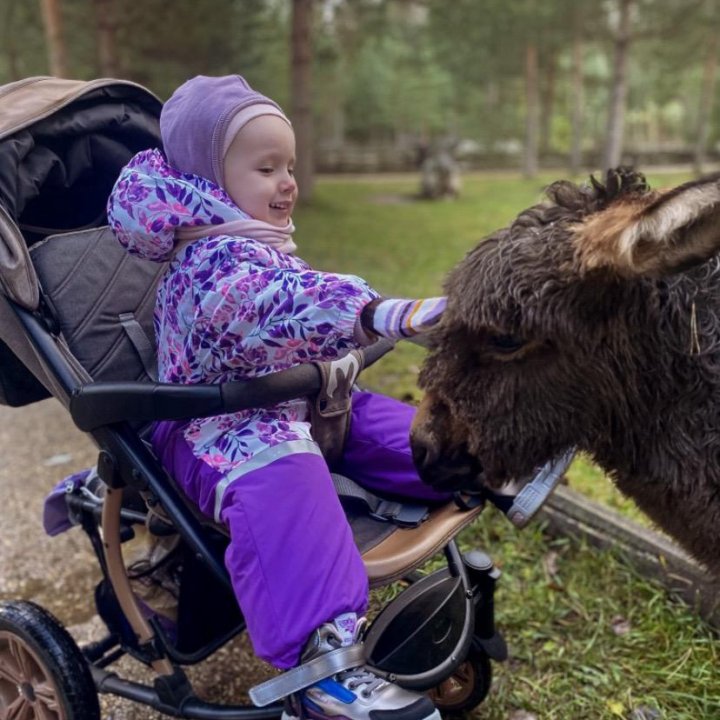 Прогулочная коляска