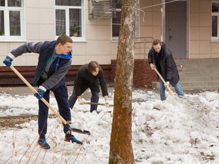 Уборка территории, Снега, Вывоз мусора