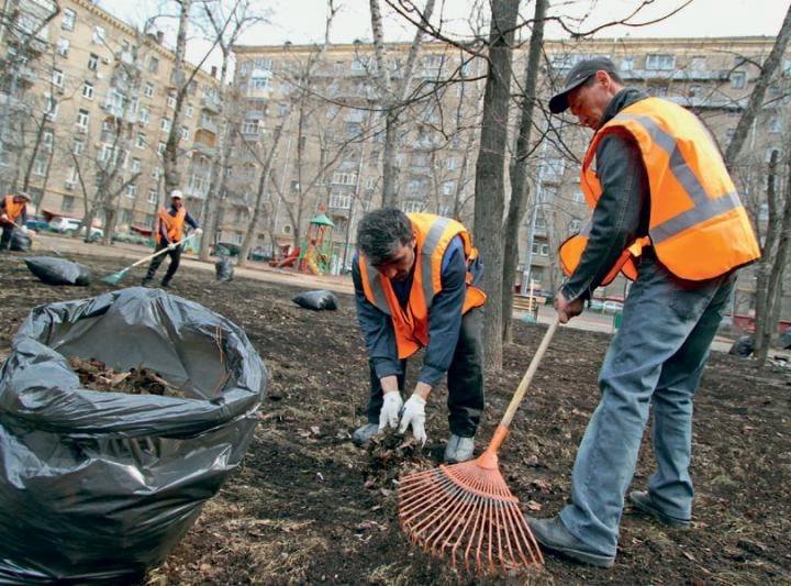 Уборка территории, Снега, Вывоз мусора