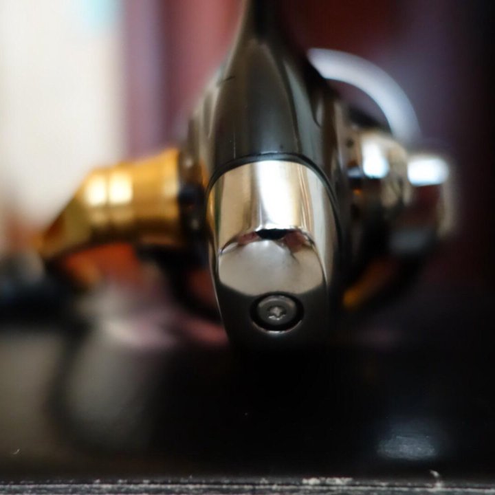 Daiwa Morethan 2510R-PE