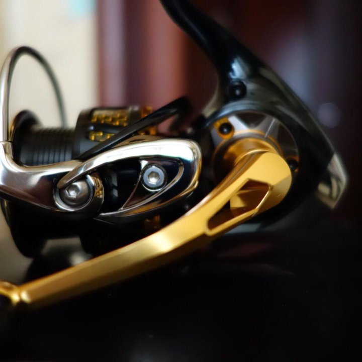 Daiwa Morethan 2510R-PE