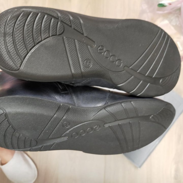 Ботинки Ecco