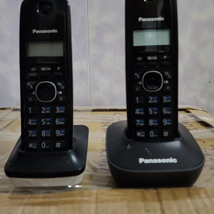 Panasonic KX-tg1612ru