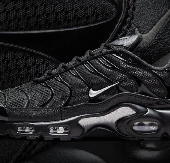 Кроссовки Nike Air Max Plus