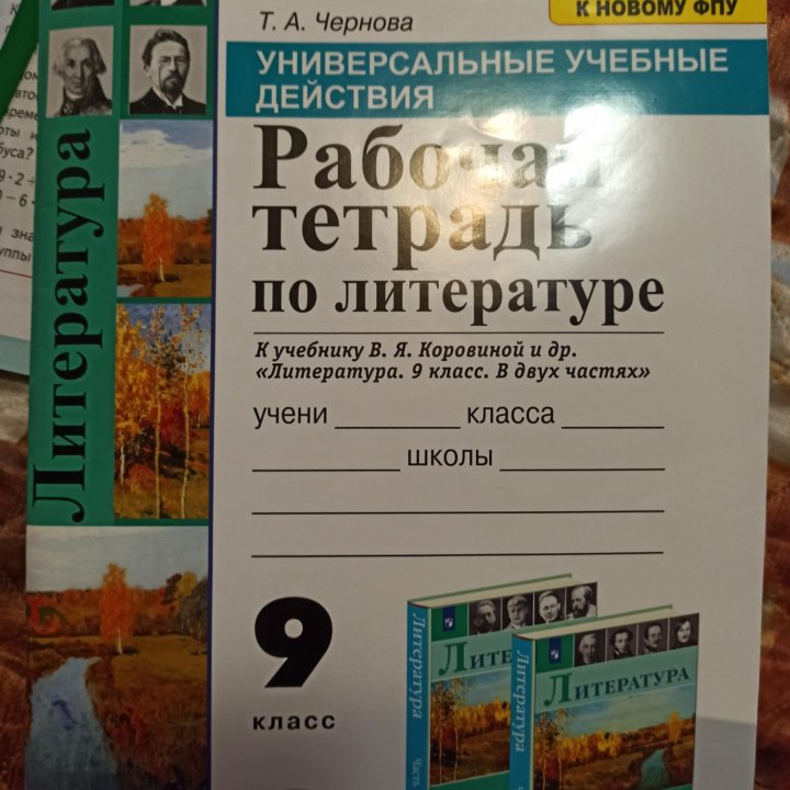 Рабочая тетрадь по литературе 9 класс