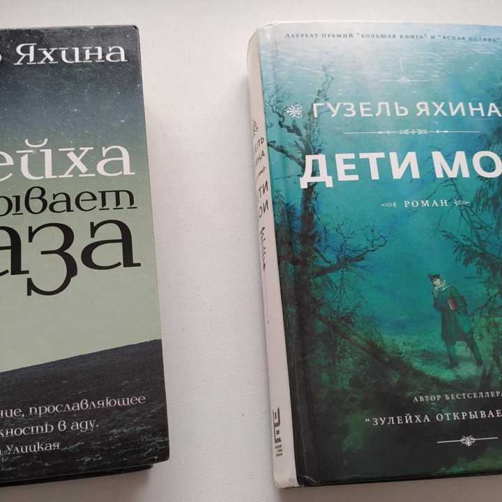 Книга Г.Яхиной