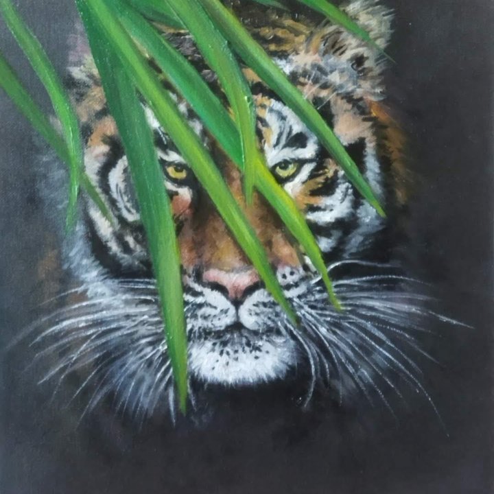 Картина Тигр из тени, холст, масло, 40*30,