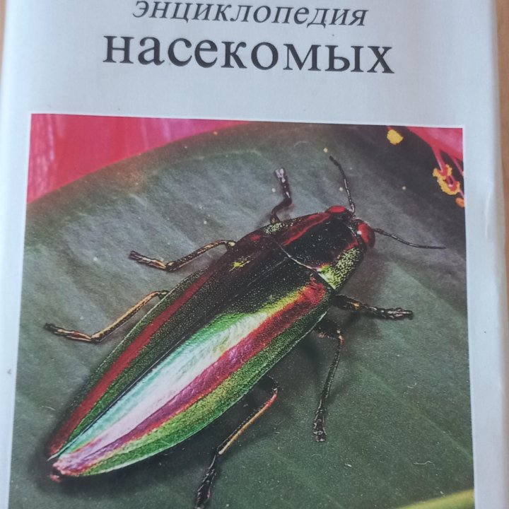 Энциклопедия насекомых, Фауна мира