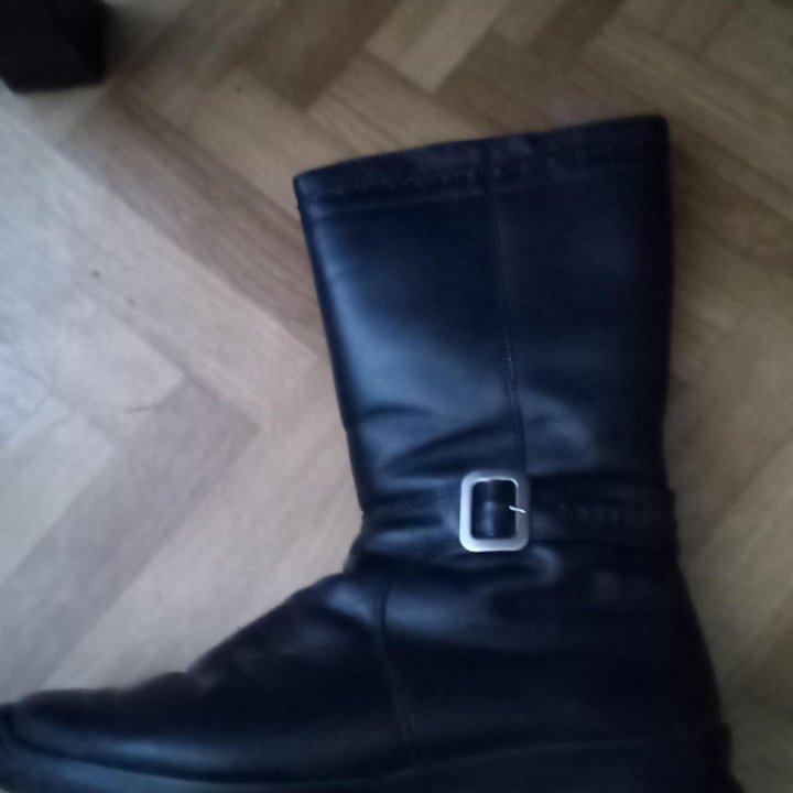 Сапоги демисезонные