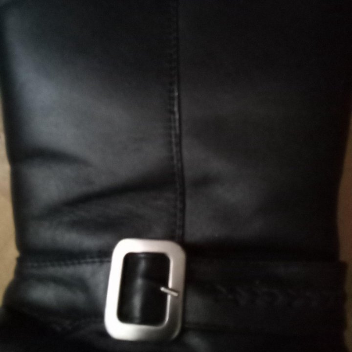 Сапоги демисезонные