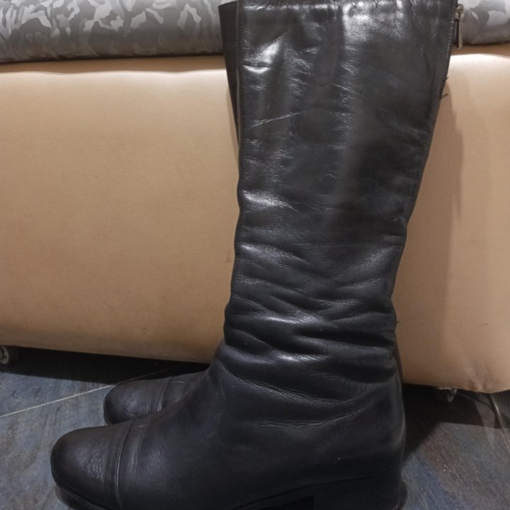 Сапоги евро зима