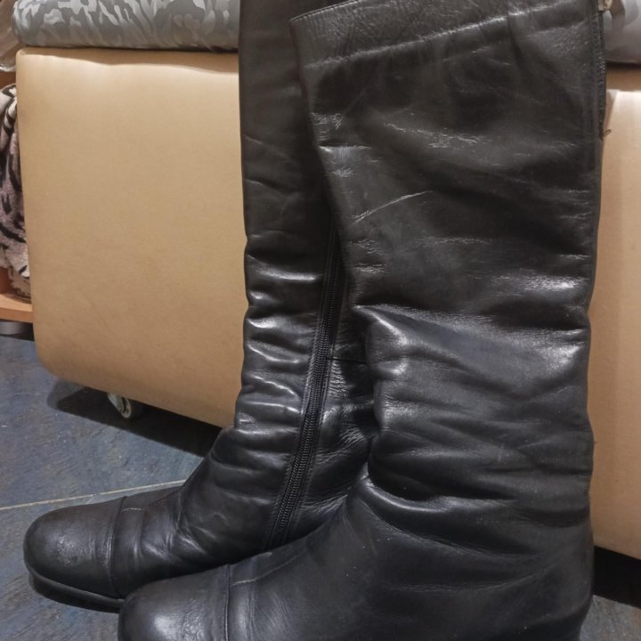 Сапоги евро зима