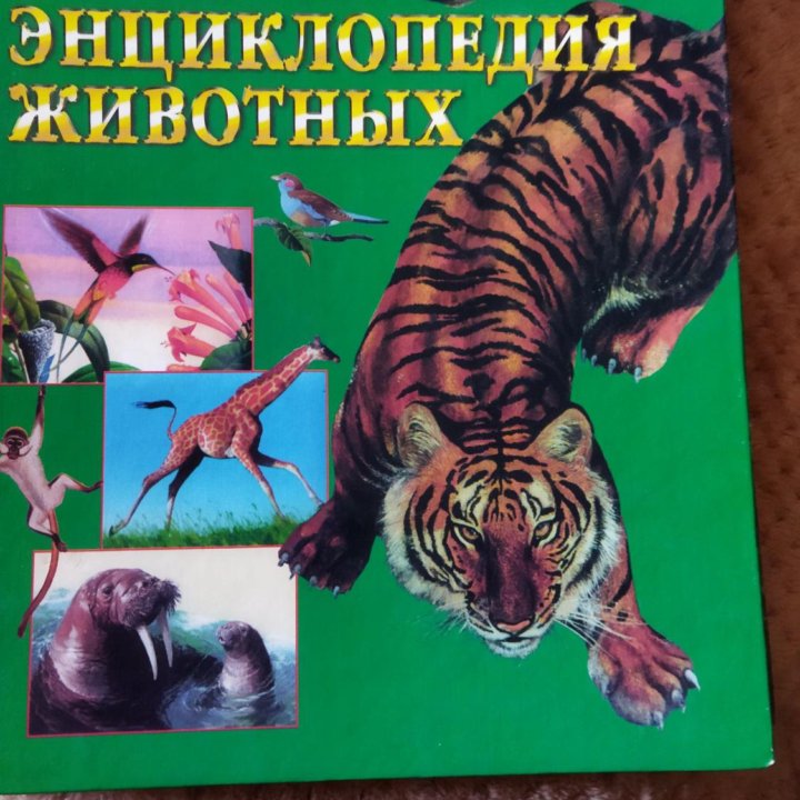 Книги,энциклопедии.