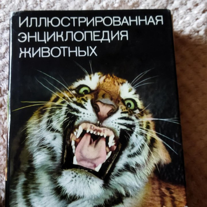 Книги,энциклопедии.