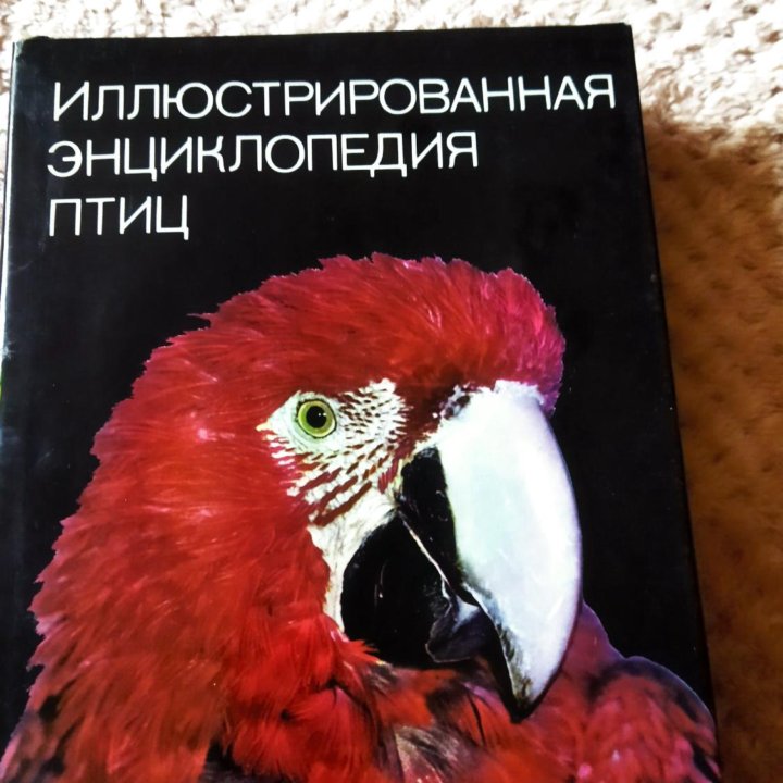 Книги,энциклопедии.