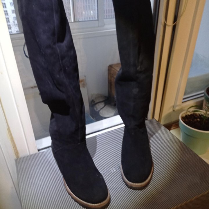 Сапоги - ботфорты