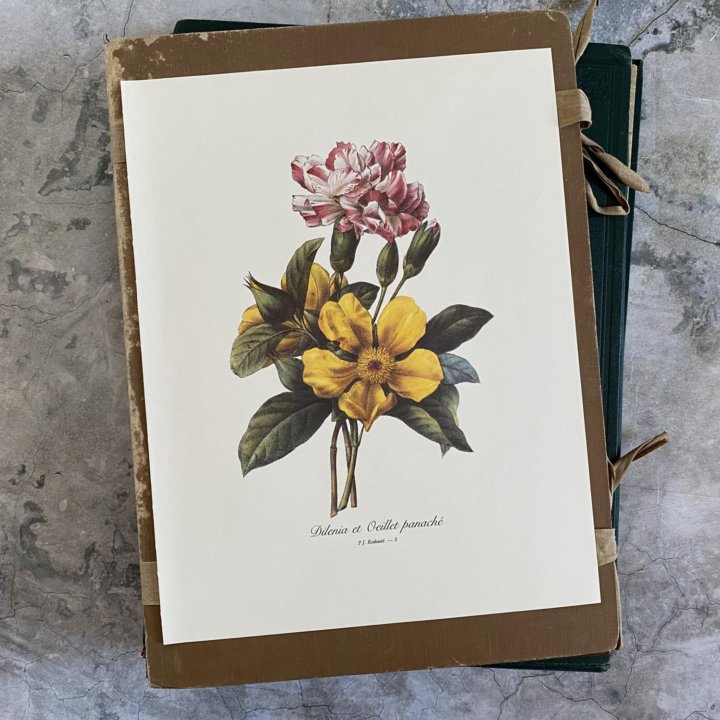 Литографии Цветы