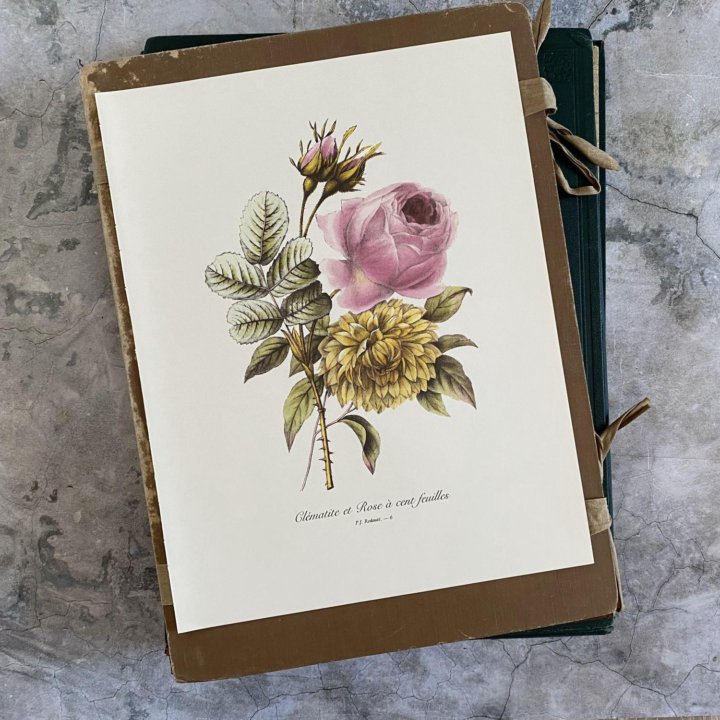 Литографии Цветы