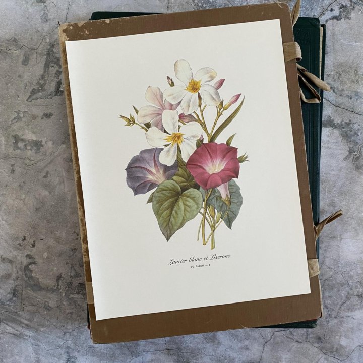 Литографии Цветы