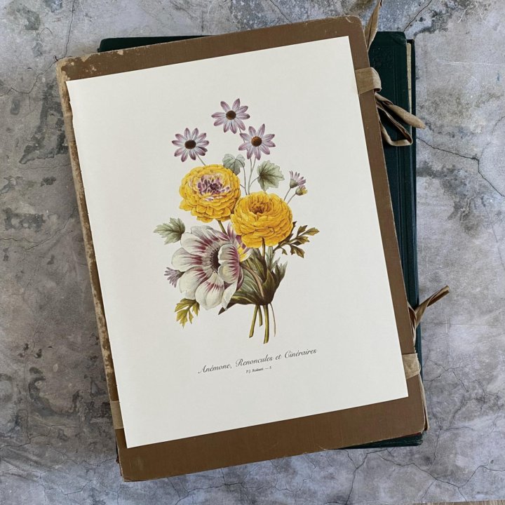 Литографии Цветы