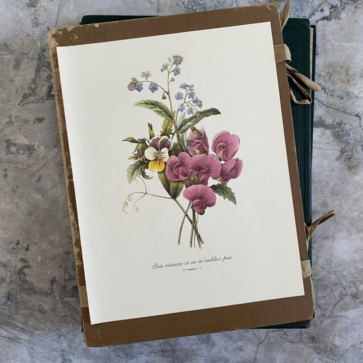 Литографии Цветы