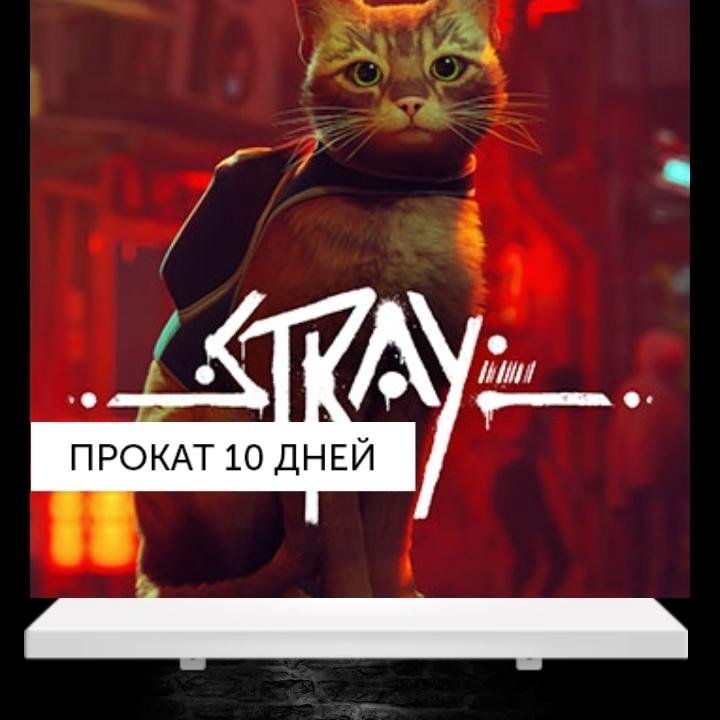 Игра Stray