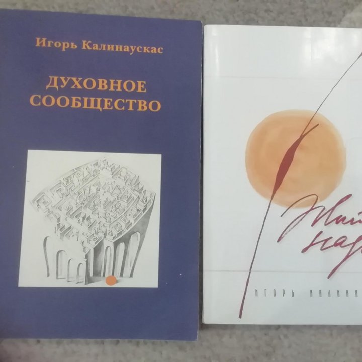 Книги разные. Темы духовного поиска