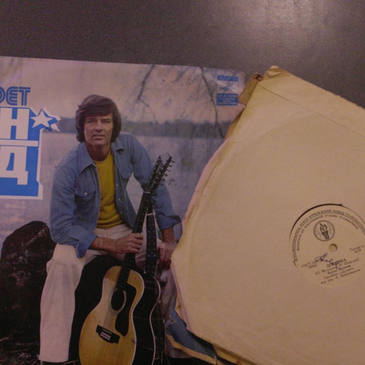 Виниловые пластинки