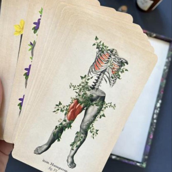 Antique Anatomy Tarot. Таро античной анатомии