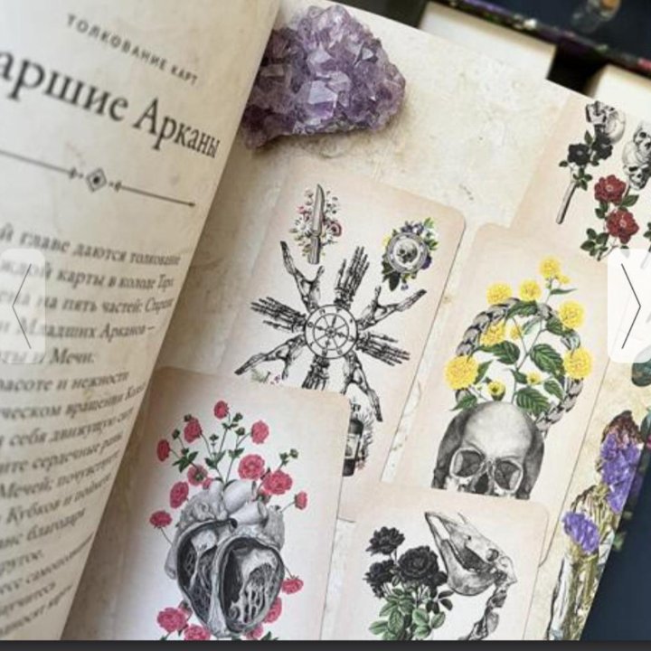 Antique Anatomy Tarot. Таро античной анатомии