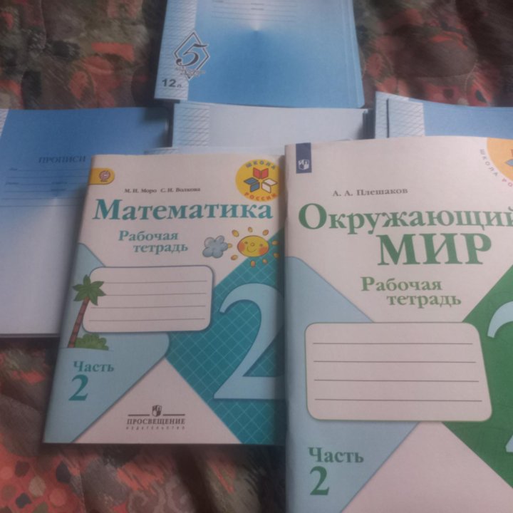 Тетради