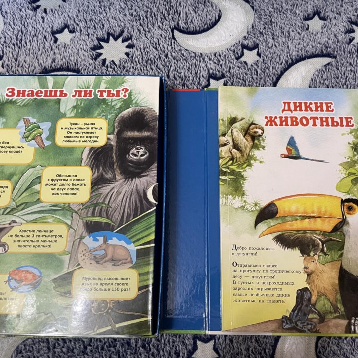 Книга с игрушками